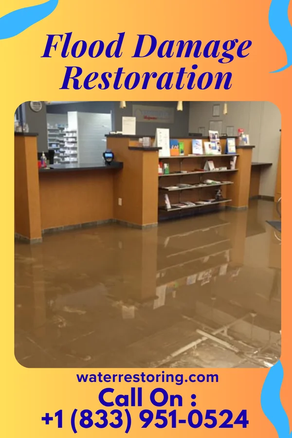 Flood Damage Restoration in Mount Gretna Heights, PA