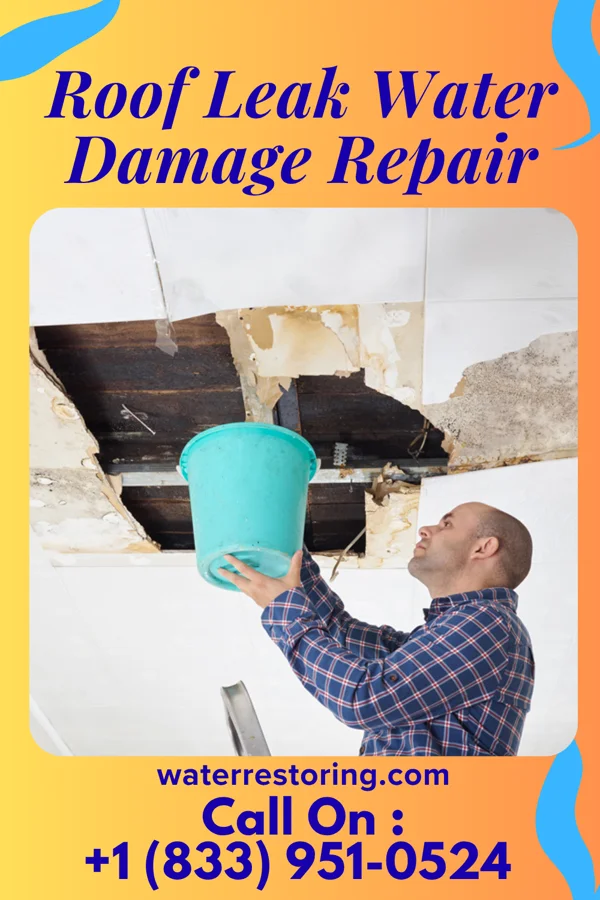 Roof Leak Water Damage Repair in Mount Gretna Heights, PA