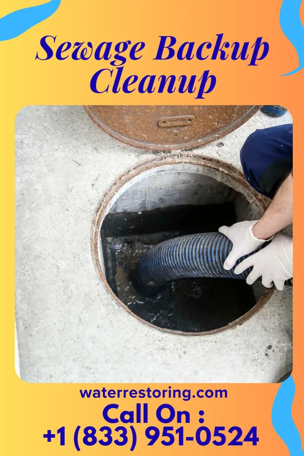 Sewage Backup Cleanup in Mount Gretna Heights, PA