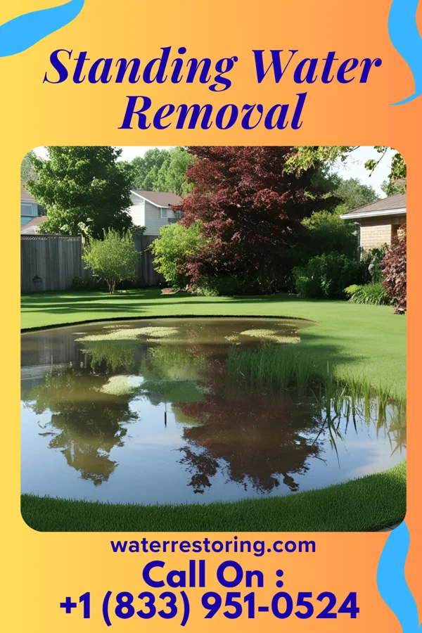 Standing Water Removal in Mount Gretna Heights, PA